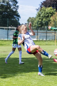 Bild 282 - wBJ Hamburger SV - VfL Wolfsburg : Ergebnis: 5:1